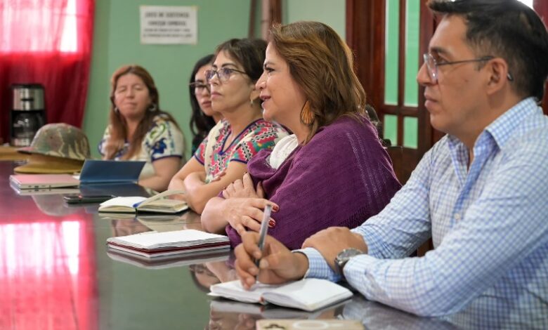Fabiola Alanís en asamblea