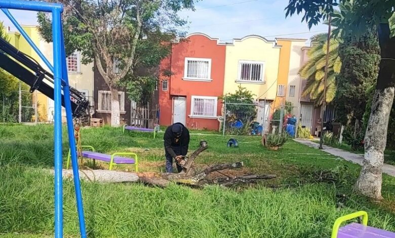 Mantenimiento de áreas verdes