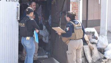 Investigan maltrato animal en Morelia